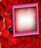Photo Card per gli amanti, sfondo rosa e telaio rosa.