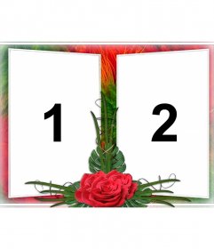 Due foto in una cornice con rose