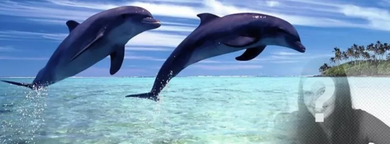 Foto di copertina di Facebook di delfini che saltano con sfondo personalizzabile con la tua..