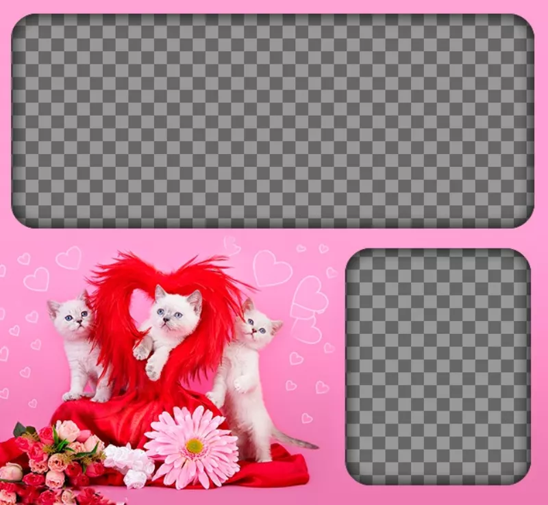 Fotomontaggio romantico con gattini e cuori con uno sfondo rosa per posizionare due immagini di amore. ..