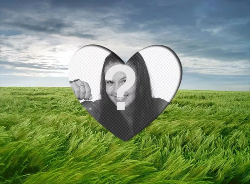 Amore photoframe di mettere una foto romantica a forma di cuore su un paesaggio con campo di grano verde e il cielo..