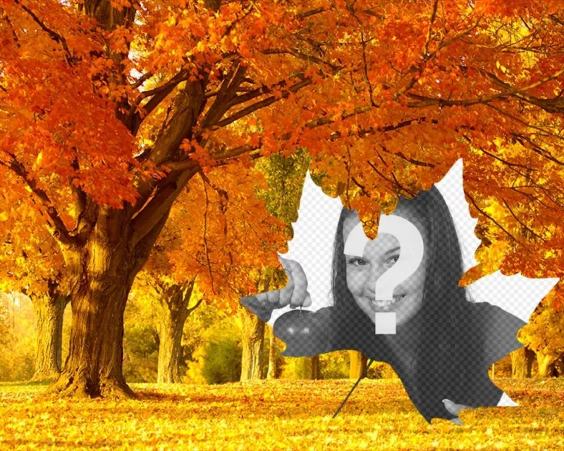 Foto collage di autunno con uno sfondo di alberi e una cornice a forma di foglia. Rendere le vostre foto ..