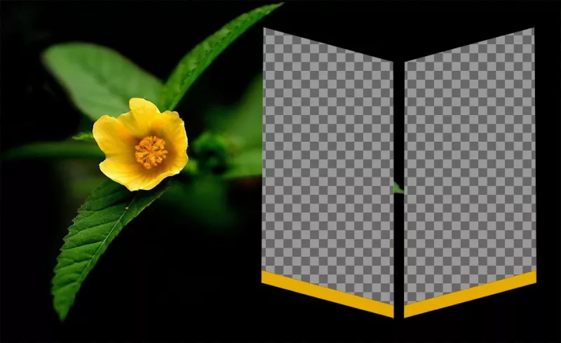 Impostazione accanto a un fiore giallo per due foto come insegne. ..