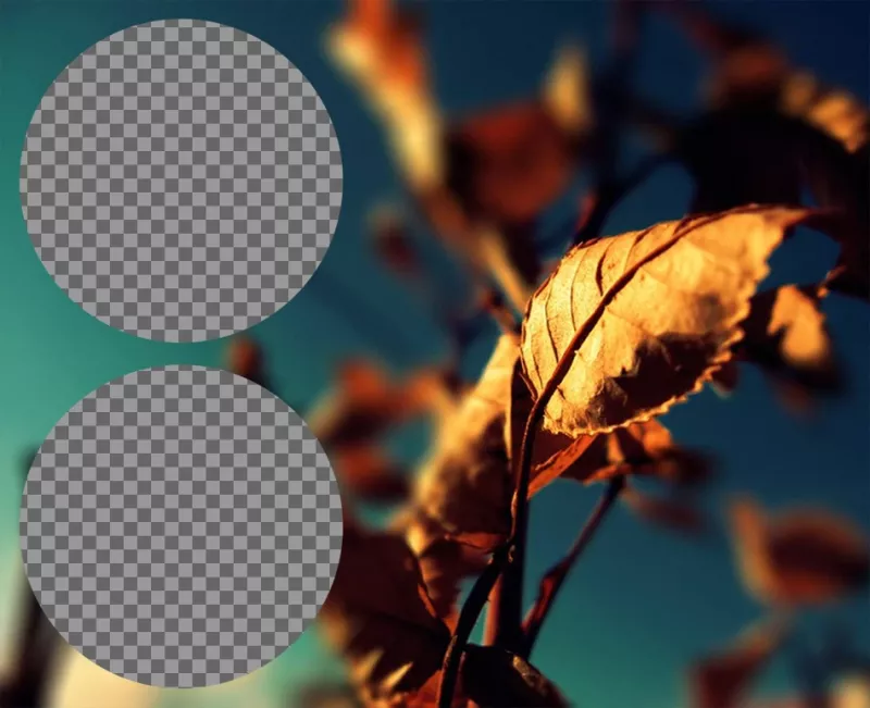 Collage con due telai cerchio accanto a un autunno foglia doro. ..