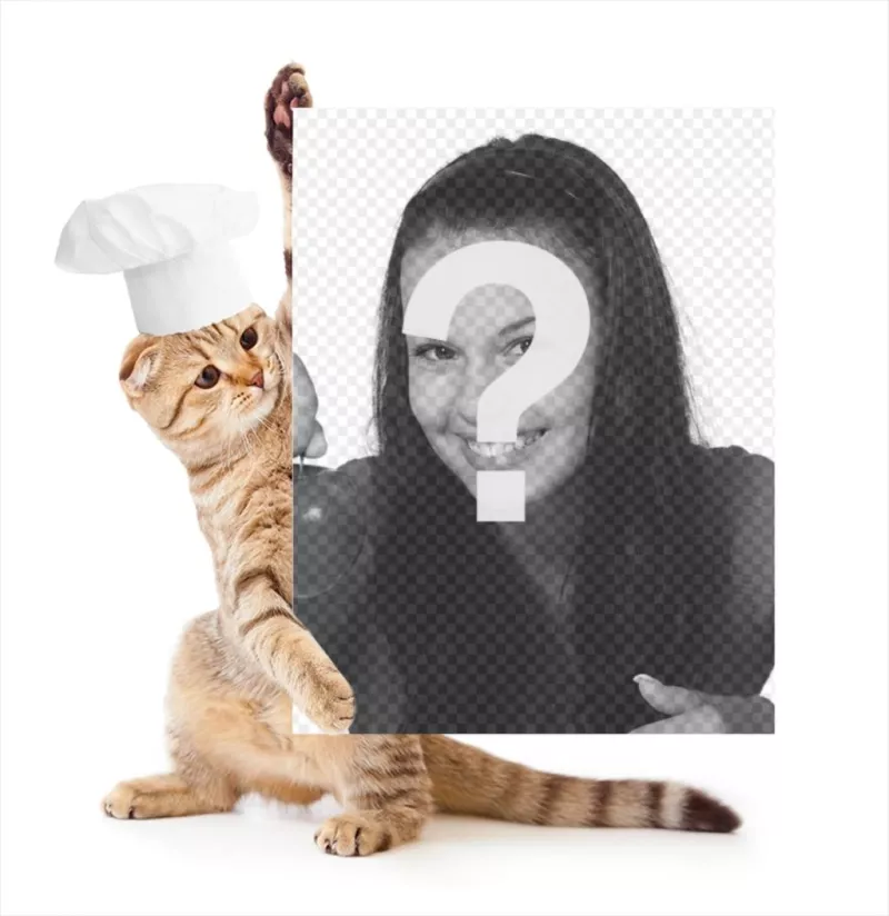 Fotomontaggio con un gatto vestito di chef in possesso di foto. ..