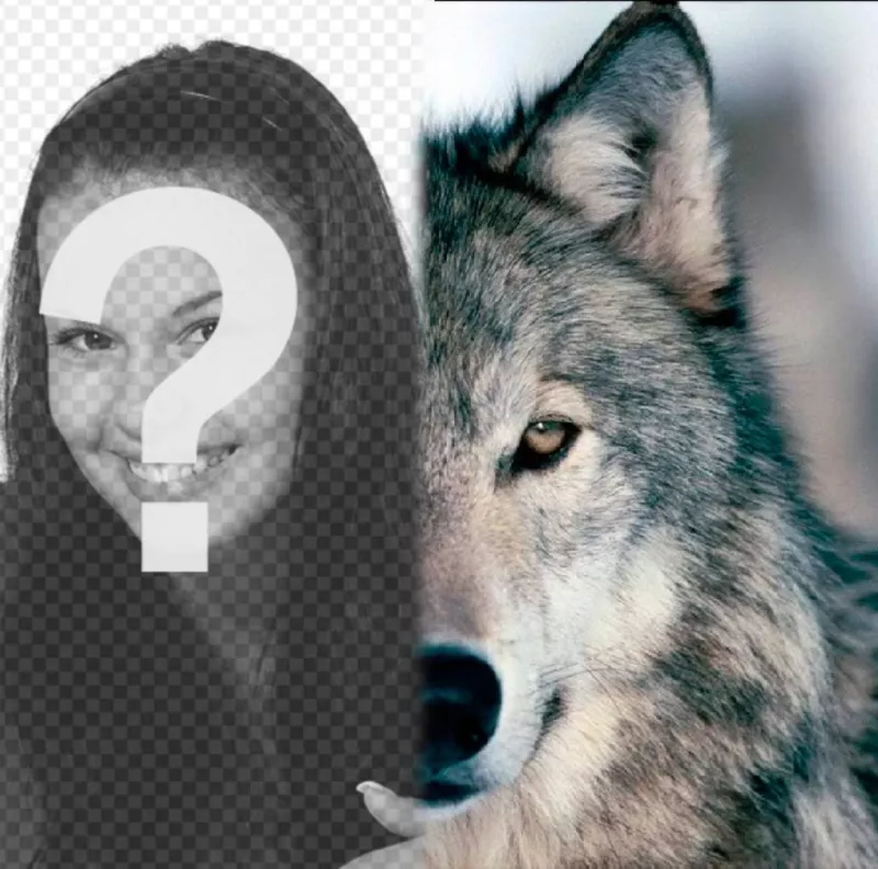 Fotomontaggio per dare un volto lupo accanto a voi, completando la vostra metà. ..