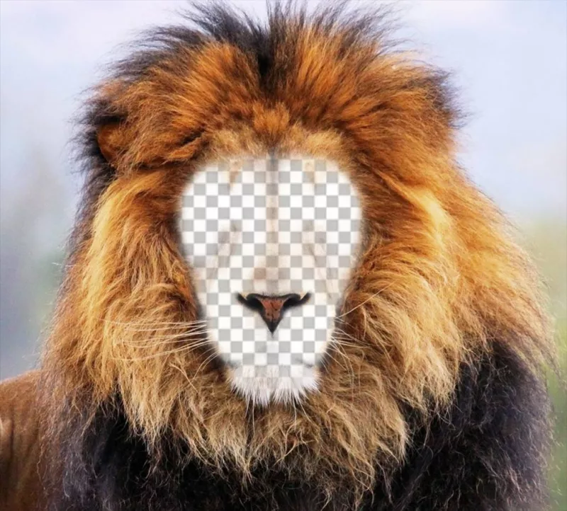 Fotomontaggio di un leone per mettere la tua faccia online ..