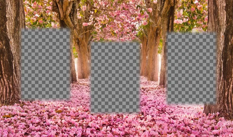 collage libero di modificarla con tre immagini e aggiungerli ad un paesaggio fiorito ..