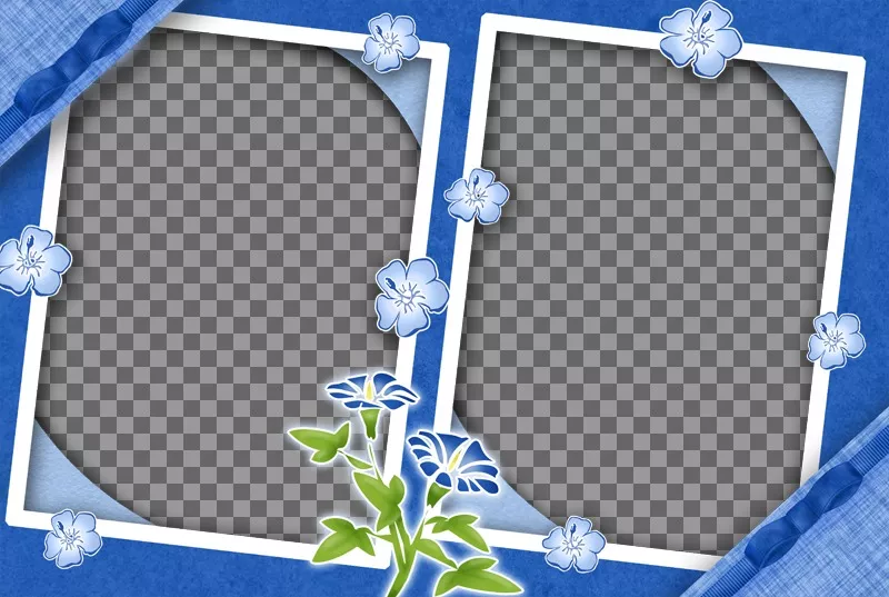 Frame per due foto con fiori lilla e sfondo dello stesso..