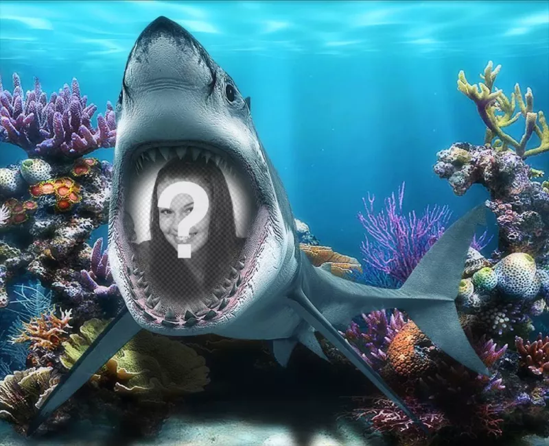 La tua foto allinterno della bocca di uno squalo sotto il mare con questo divertente fotomontaggio ..