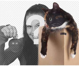 fotomontaggio di mettere un gattino in scatola in delle vostre immagini
