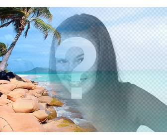 collage spiaggia paradisiaca acqua blu e le palme di mettere tua foto e personalizzare il testo