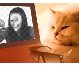 fotomontaggio di un gatto annoiato vedendo tua foto in cui inserisce limmagine desiderata
