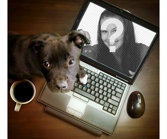 collage un cucciolo che giocano un computer in cui puo mettere vostra fotografia