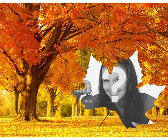 foto collage di autunno sfondo di alberi e cornice forma di foglia rendere le vostre foto