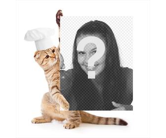 fotomontaggio un gatto vestito di chef in possesso di foto