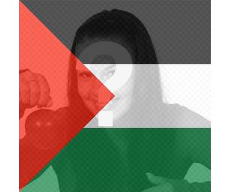 filtro della palestina bandiera da mettere nella foto
