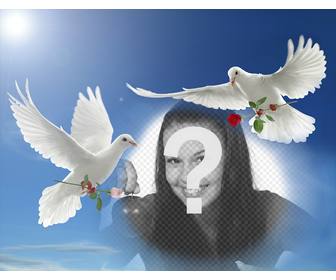 effetto foto di pace due colombe bianche che volano