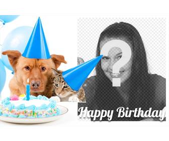 carta di compleanno dolce un cane e un gatto per foto