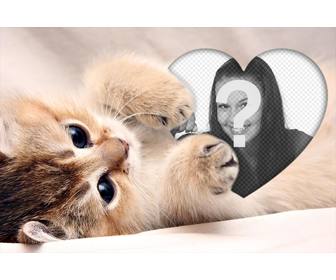effetto sexy foto di un gattino che abbraccia un cuore aggiungere foto