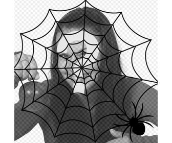 metti un ragno di ragni e un ragno nella tua foto effetto di terrore