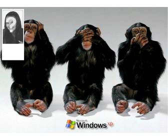 scimmie facendo i segni di non ascoltare non vedere non sentire per impostare sfondo per twitter tua foto