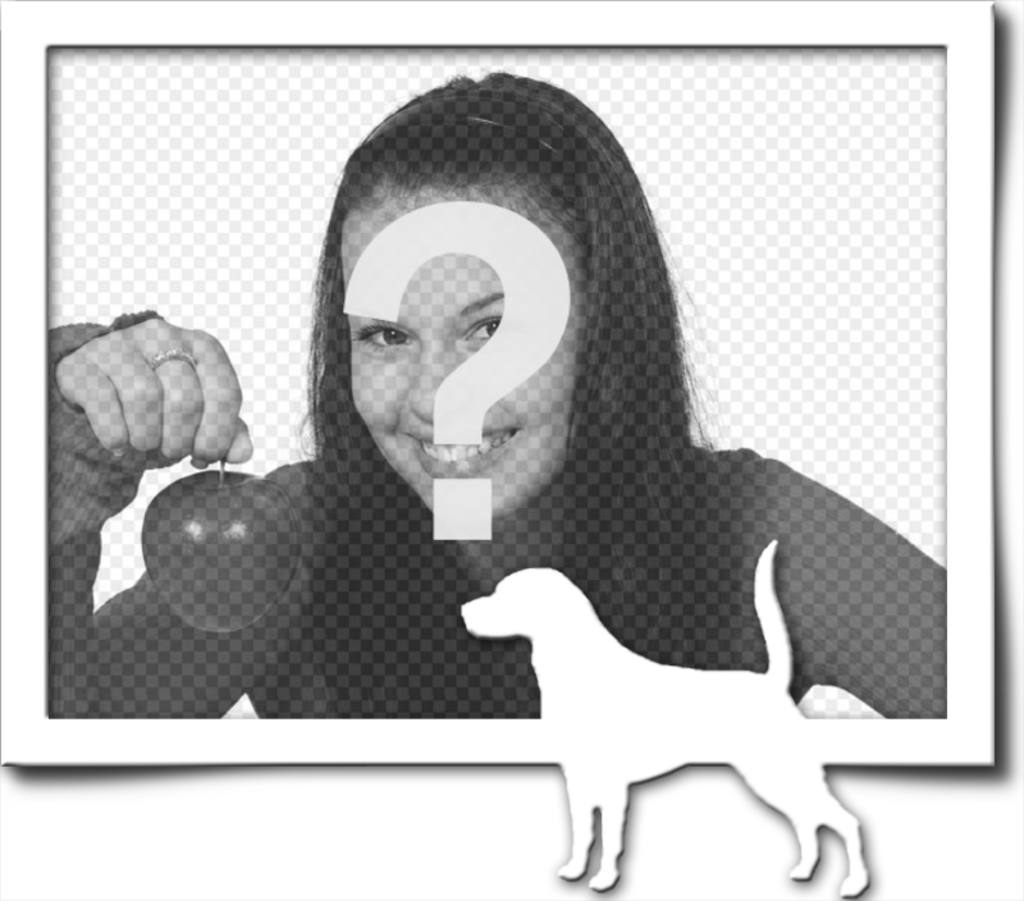 Cornice Digitale, che consiste di un bordo grigio e bianco silhouette di un cane con la coda sollevata, come se avesse trovato un..