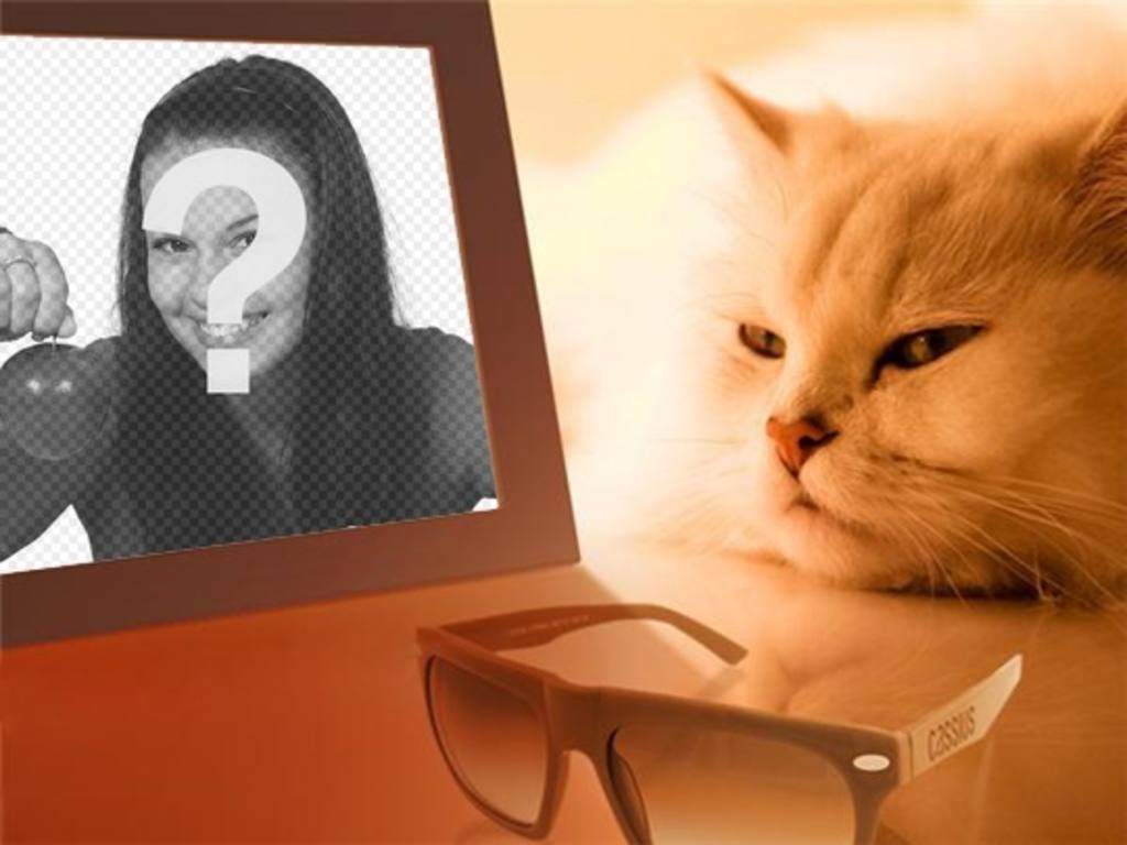 Fotomontaggio di un gatto annoiato vedendo la tua foto in cui si inserisce limmagine..