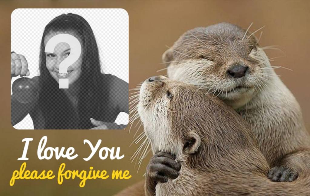 Collage di perdono con due lontre che abbracciano ..