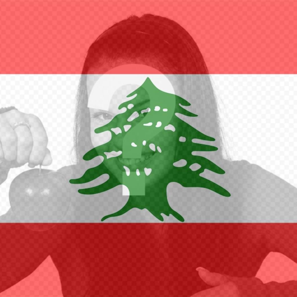 Bandiera del Libano per mettere su limmagine del profilo di social..