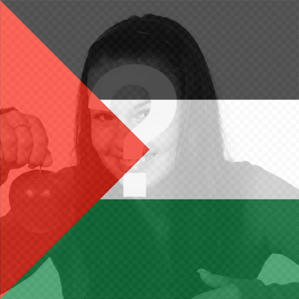 Filtro della Palestina bandiera da mettere nella foto. ..