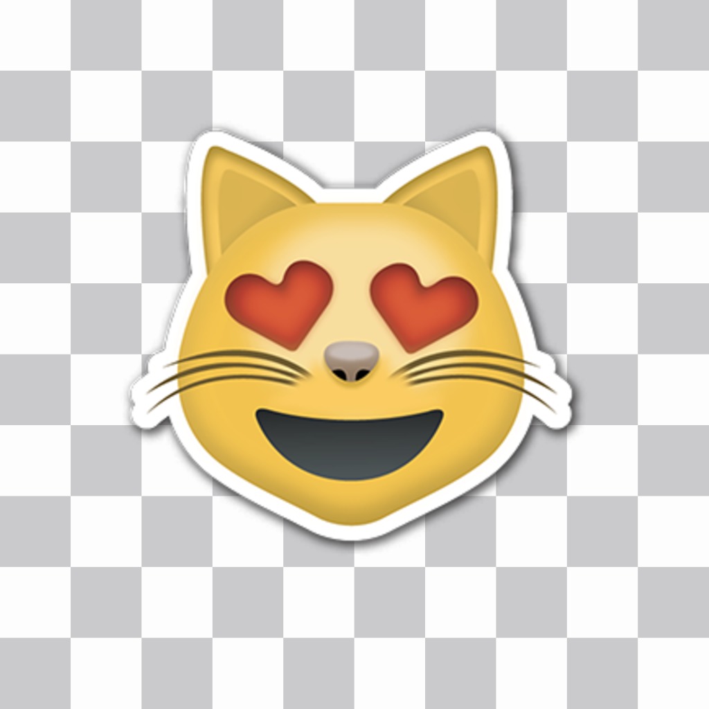 Cat emoticon Cover adesiva personalizzata per le vostre foto ..