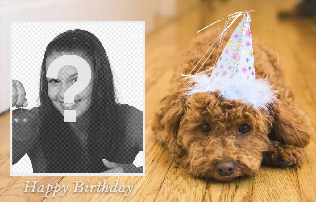 Effetto Foto di compleanno con un cane per la tua foto ..