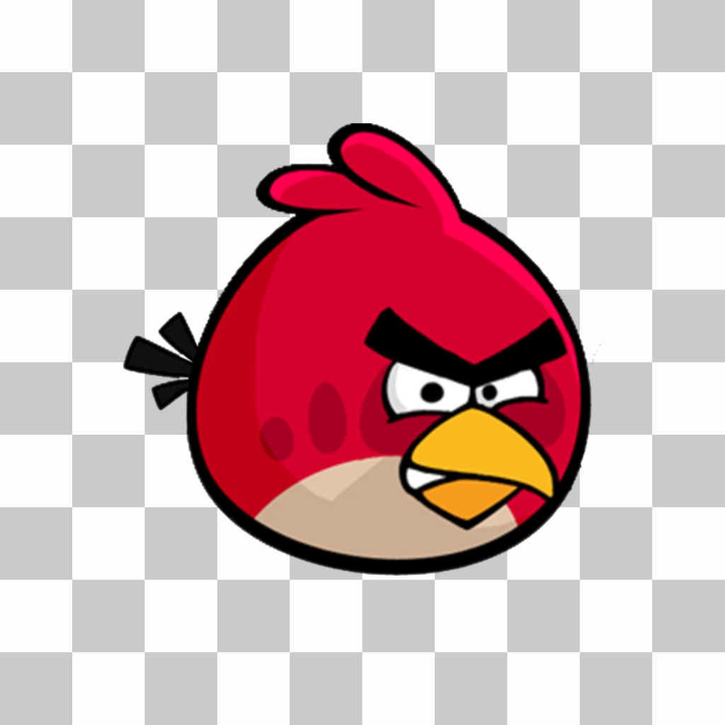 Big Bird per mettere sopra le vostre foto se vi piace Angry Birds ..