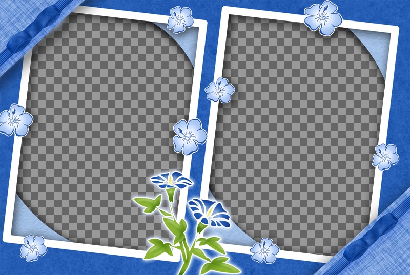 Frame per due foto con fiori lilla e sfondo dello stesso..