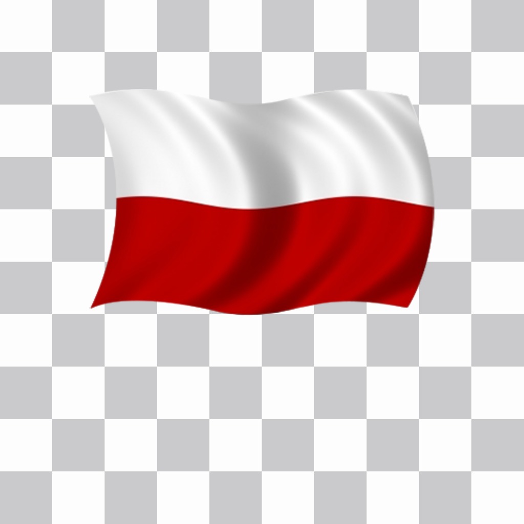 Sventolando la bandiera della Polonia che è possibile incollare nelle foto gratis ..