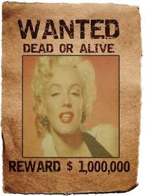 Wanted Poster. La tua foto in una scaletta di leggendario nella ricerca e cattura, vivo o morto, premio, un milione. Salvare o inviare il fotomontaggio come souvenir o curiosità.