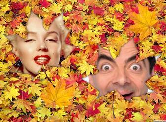 nascondere sotto le foglie cadute questo effetto per due foto