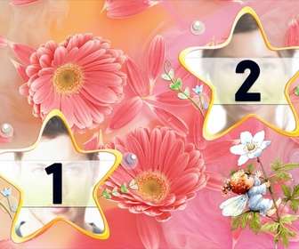 telaio per due foto fiori forma di stella e colori pastello