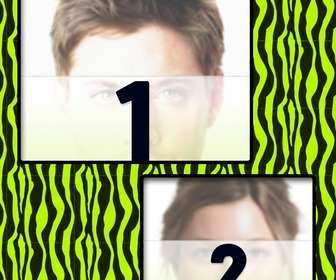 creare un collage verde e giallo zebrato e due foto online