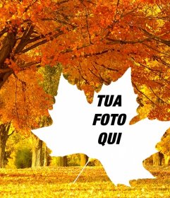 Foto Collage Di Autunno Con Uno Sfondo Di Alberi E Una Cornice A Forma Fotoeffetti