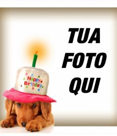 Effetto Foto Di Un Cane Con La Torta E Palloncini Fotoeffetti