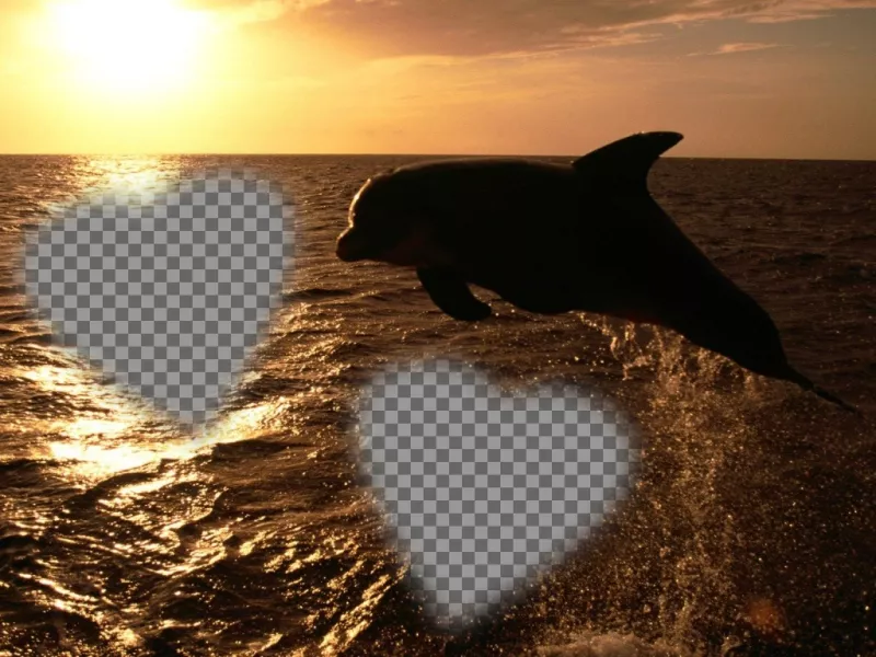 Scheda personalizzabile per due foto in forma di cuori e un delfino. ..