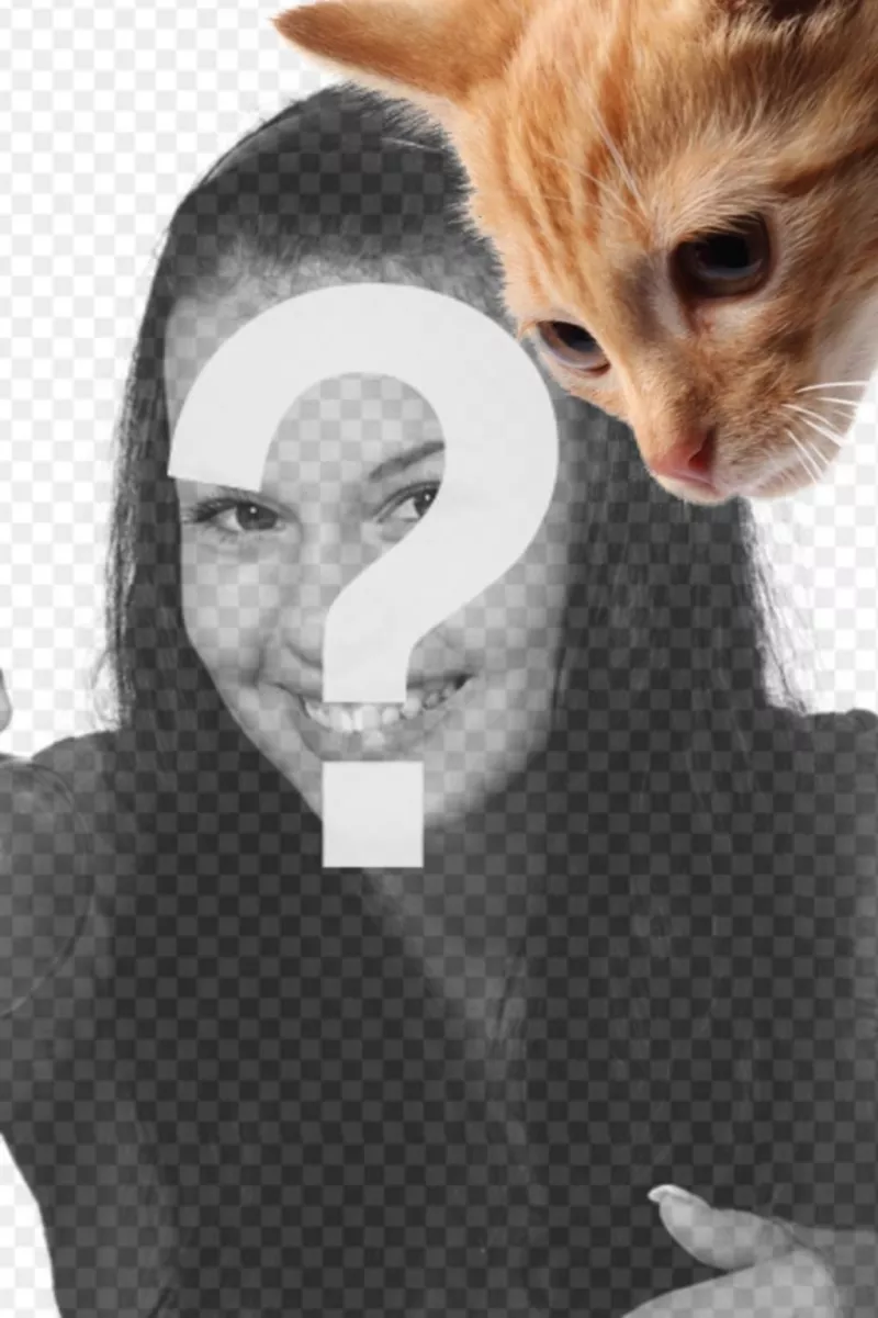 Aggiungi un gattino per le foto e anche anche di personalizzare..