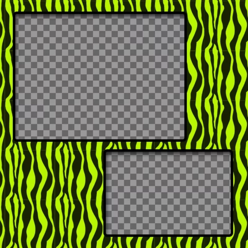 Creare un collage con verde e giallo zebrato e due foto..