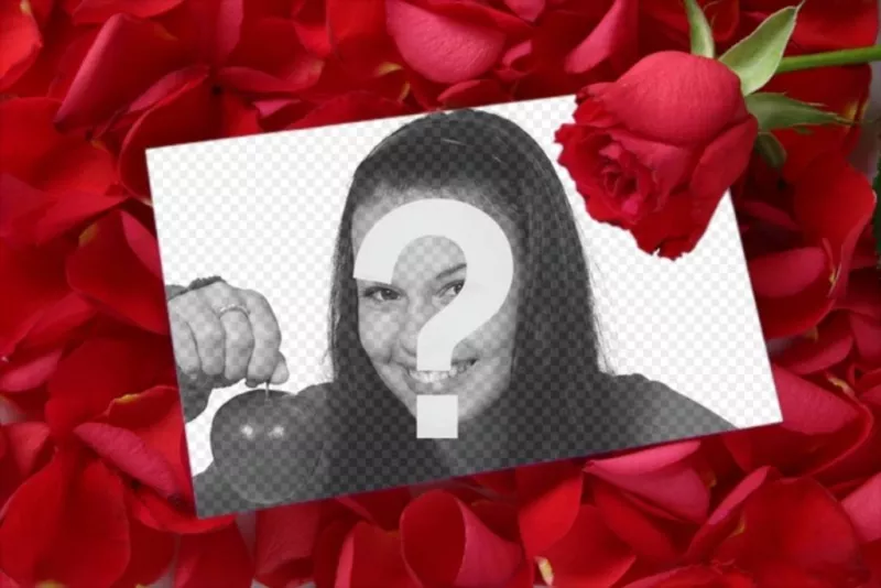 Mettere una foto in una lettera d'amore con un petalo di rosa sfondo rosa. Per completare il regalo di San Valentino, una carta che è possibile stampare o e-mail. Amare dettaglio una memoria a durare la..