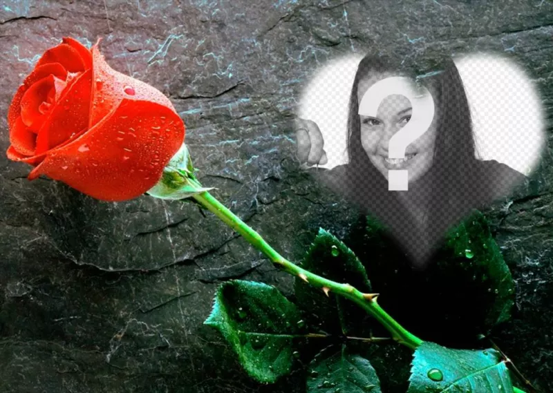 Metti una foto allinterno di un cuore con una rosa accanto a questa foto effetto lamore che si può inviare come una..