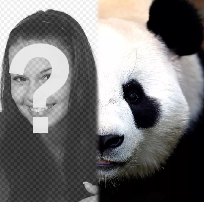 Trasforma la tua panda faccia metà con questo fotomontaggio. ..
