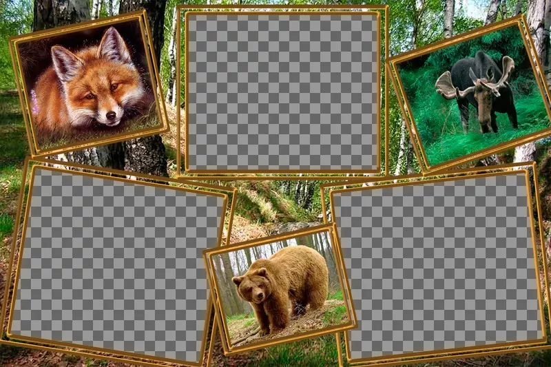 Collage di animali per modificare con le tre foto di te stesso. ..