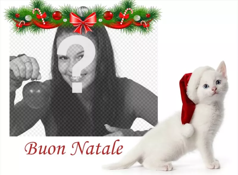 Effetto Foto di Buon Natale con un gatto una foto ..